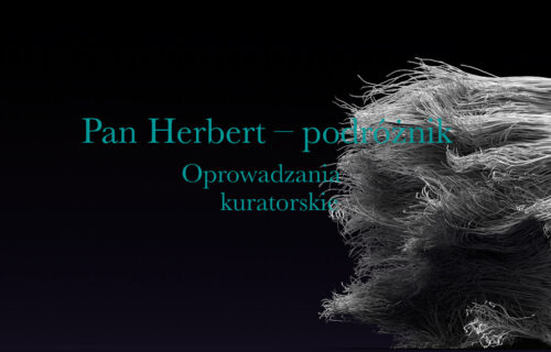 Pan Herbert – podróżnik. Grudniowe oprowadzania kuratorskie